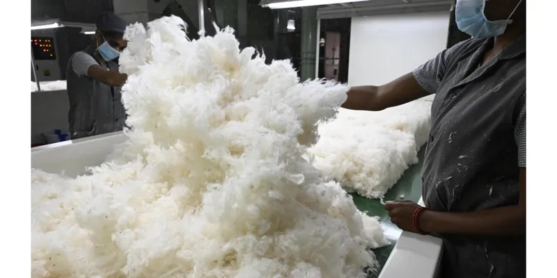 Cotton Prices Jump ₹4,000 per Candy, Putting Tamil Nadu Textile Mills Under Pressure